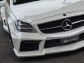 Vitt Performance Mercedes CLS