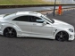 Vitt Performance Mercedes CLS