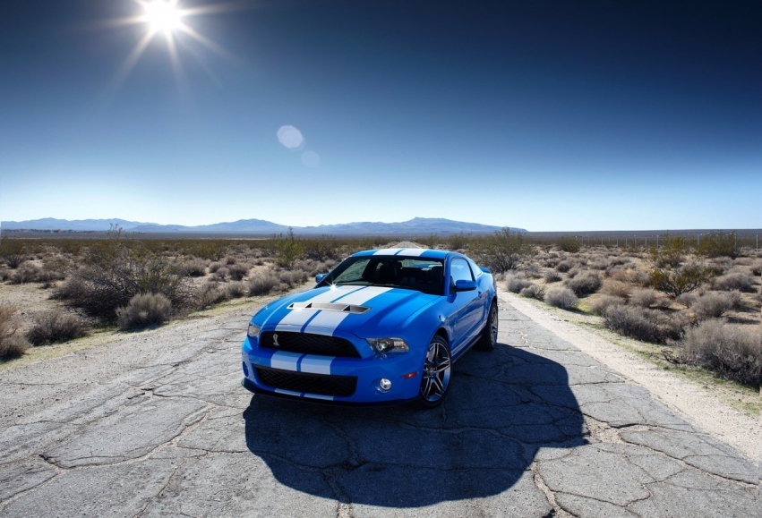 Авто обои Ford Ford Shelby GT500 Mustang 2010