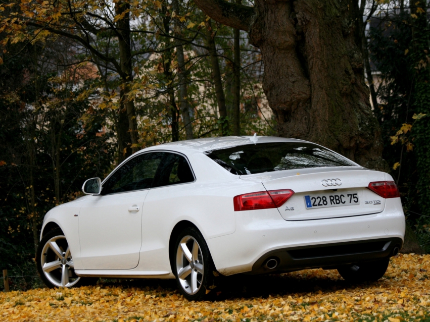 Авто обои Audi A5 Coupe