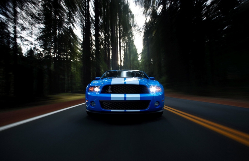 Авто обои Ford Ford Shelby GT500 Mustang 2010