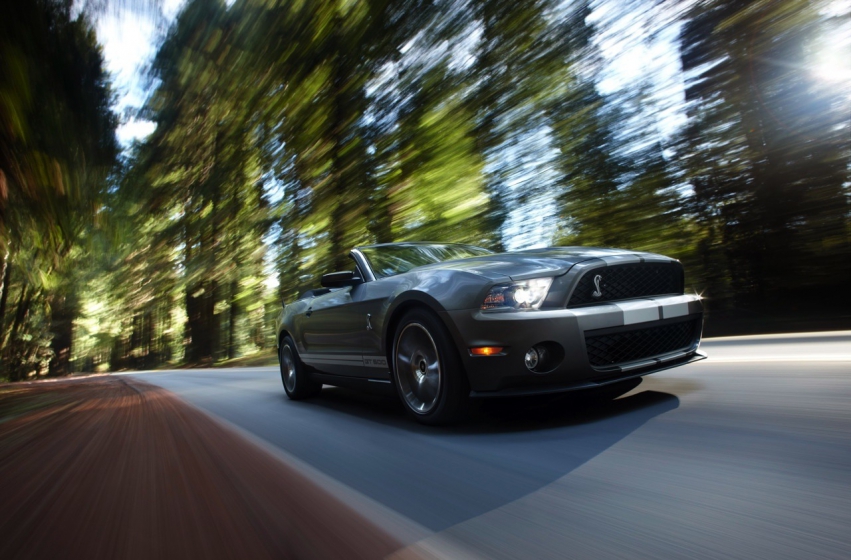 Авто обои Ford Ford Shelby GT500 Mustang 2010