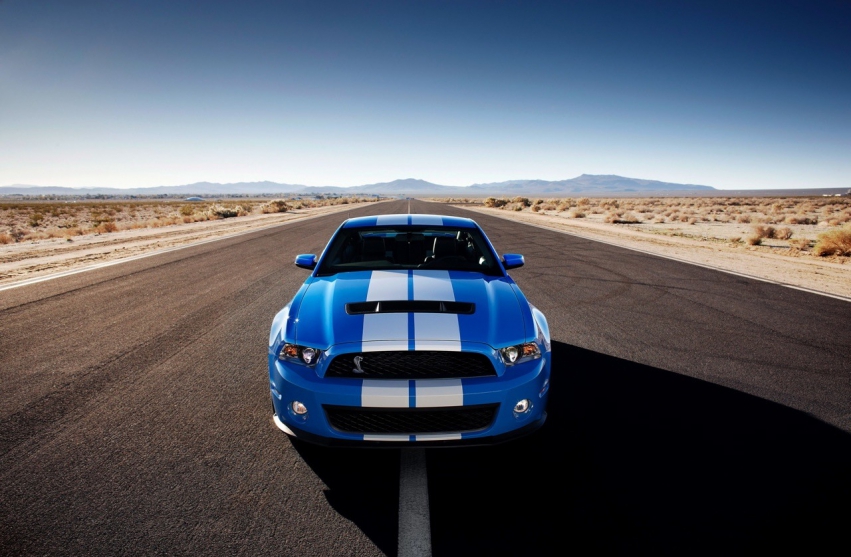 Авто обои Ford Ford Shelby GT500 Mustang 2010