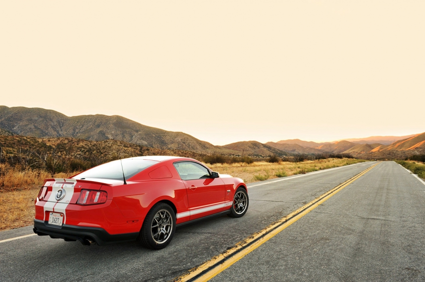 Авто обои Ford Shelby gts 2012