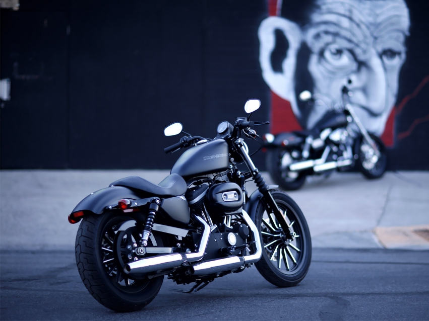 Мото обои Harley-Davidson XL 883N Iron 883 2010