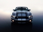 Ford Ford Shelby GT500 Mustang 2010