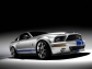 Ford 2008 Ford Shelby GT500KR