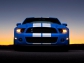 Ford Ford Shelby GT500 Mustang 2010