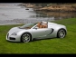 Bugatti Bugatti Veyron 16.4 Grand Sport 2009