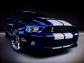 Ford Ford Shelby GT500 Mustang 2010