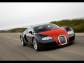 Bugatti Bugatti Veyron Fbg par Hermes 2009