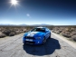 Ford Ford Shelby GT500 Mustang 2010