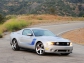 Ford Roush 427R 2010