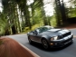 Ford Ford Shelby GT500 Mustang 2010