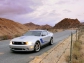 Ford Roush 427R 2010