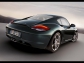 Porsche Porsche Cayman S 2009