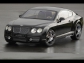 Bentley 2008 Mansory Bentley Continental GT & GTC