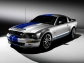 Ford 2008 Ford Shelby GT500KR