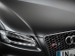 Audi RS5 leaked brochure images