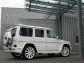 Mercedes-Benz ART G Streetline 2010 