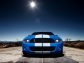 Ford Ford Shelby GT500 Mustang 2010