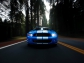 Ford Ford Shelby GT500 Mustang 2010