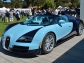 Bugatti veyron eb 16 4 grand sport vitesse legend jean pierre wimille 2014