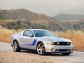 Ford Roush 427R 2010