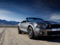 Ford Ford Shelby GT500 Mustang 2010