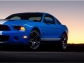 Ford Ford Shelby GT500 Mustang 2010