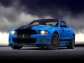 Ford Shelby gt500 2013