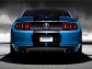 Ford Shelby gt500 2013