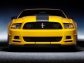 Ford Mustang Boss 302