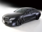 Mercedes-Benz CLS Wald Black Bison 2012