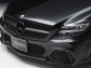 Mercedes-Benz CLS Wald Black Bison 2012