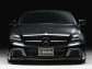 Mercedes-Benz CLS Wald Black Bison 2012