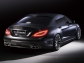 Mercedes-Benz CLS Wald Black Bison 2012