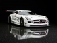 Mercedes-Benz SLS AMG GT3