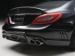 Mercedes-Benz CLS Wald Black Bison 2012