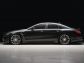 Mercedes-Benz CLS Wald Black Bison 2012