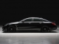 Mercedes-Benz CLS Wald Black Bison 2012