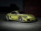 Porsche Cayman R 2011